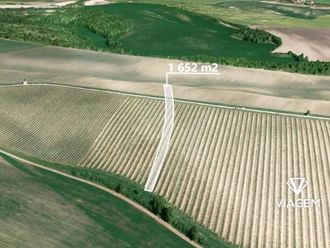 Prodej podílu pole, Šitbořice, 550 m2