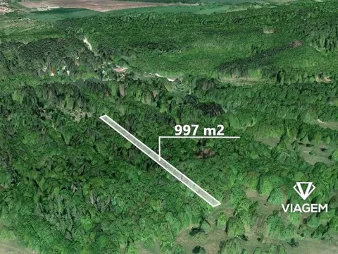 Prodej lesa, Kněždub, 997 m2