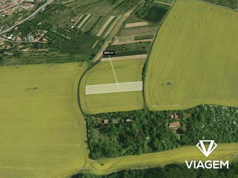 Prodej podílu pole, Zdounky, 375 m2