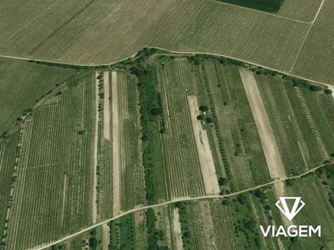 Prodej podílu pole, Blatnice pod Svatým Antonínkem, 380 m2