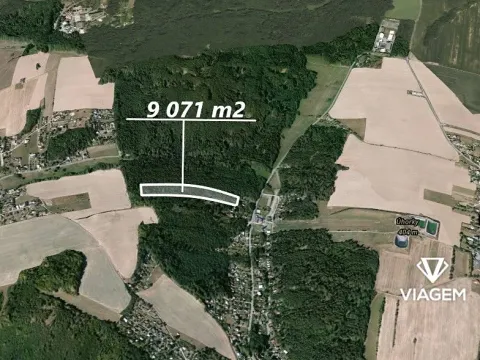 Prodej lesa, Horní Lhota, 9071 m2