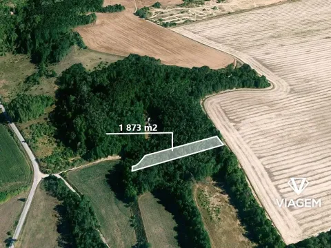 Prodej lesa, Medlov, 1873 m2