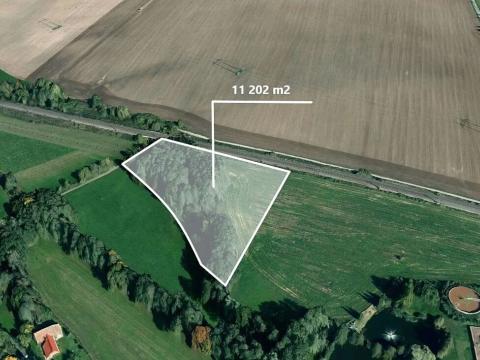 Prodej podílu pole, Žichlínek, 283 m2
