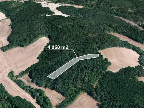 Prodej lesa, Moravské Bránice, 4068 m2