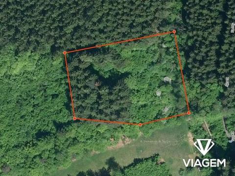 Prodej podílu lesa, Vsetín, 349 m2