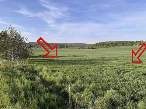 Dražba pole, Brno, 8031 m2