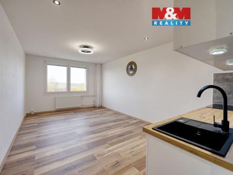 Prodej bytu 1+kk, Horní Bříza, U Vrbky, 25 m2