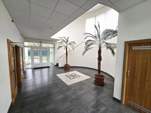 Pronájem výrobních prostor, Brno, Franzova, 785 m2