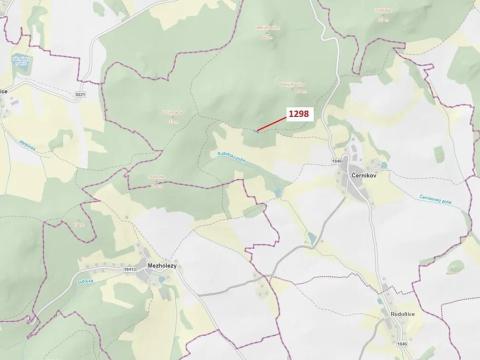Dražba lesa, Černíkov, 522 m2