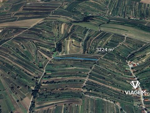 Prodej podílu pole, Mutěnice, 604 m2