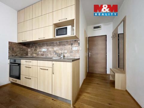 Pronájem bytu 1+kk, Strakonice - Přední Ptákovice, Šumavská, 26 m2