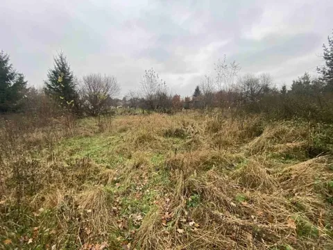 Dražba pozemku, Potěhy, 1589 m2