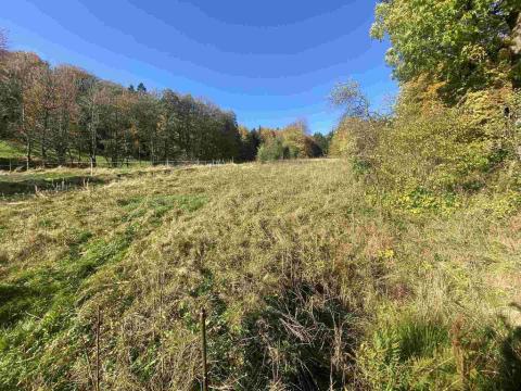 Prodej pole, Zdislava, 1384 m2