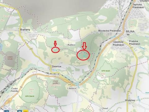 Prodej lesa, Želenice, 6238 m2