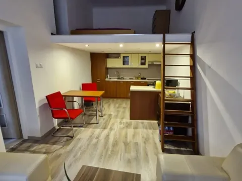 Pronájem bytu 1+1, Brno, Cejl, 28 m2