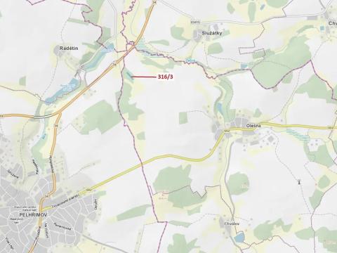 Dražba lesa, Olešná, 2554 m2