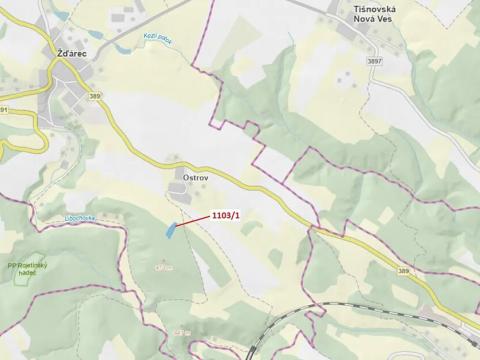 Dražba lesa, Žďárec, 3474 m2