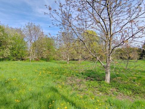 Prodej pozemku, Orlová, 1837 m2