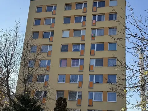 Prodej bytu 1+1, Český Brod, Palackého, 40 m2