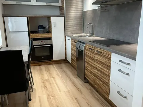 Prodej bytu 2+kk, Ostrava, Krasnoarmejců, 55 m2