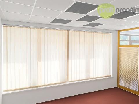 Pronájem obchodního prostoru, Vyškov, Palánek, 43 m2