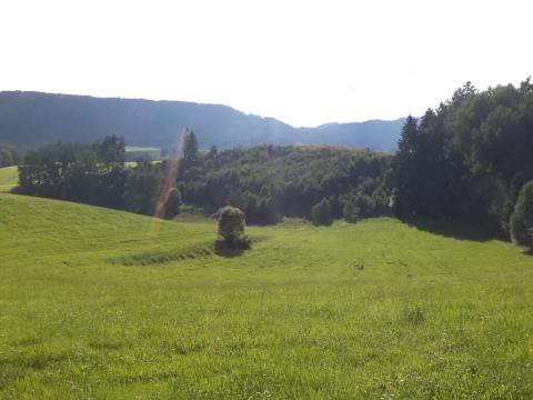 Dražba louky, Dolní Dobrouč, 71151 m2