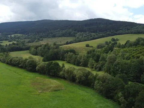 Dražba louky, Dešenice, 67850 m2