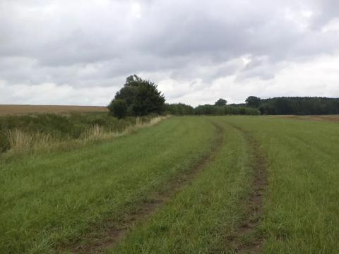 Dražba pole, Záluží, 8654 m2