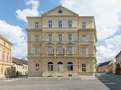 Pronájem pokoje, Olomouc, Křížkovského, 20 m2