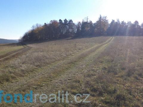 Prodej pole, Prostějovičky, 4403 m2