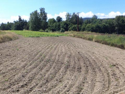 Prodej pozemku, Stráž, 15644 m2