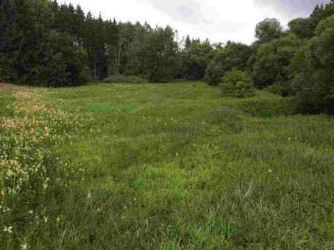 Prodej pole, Chýnov - Dobronice u Chýnova, 22334 m2