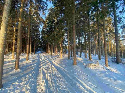 Prodej pozemku, Frýdštejn, 1080 m2