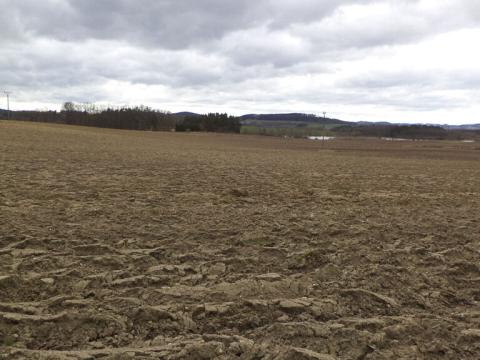 Prodej komerčního pozemku, Cehnice, 9229 m2