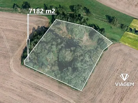 Prodej lesa, Jindřichův Hradec, 7182 m2