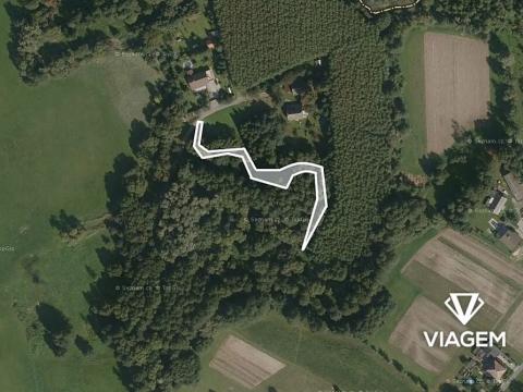 Prodej lesa, Petrovice u Karviné, 566 m2