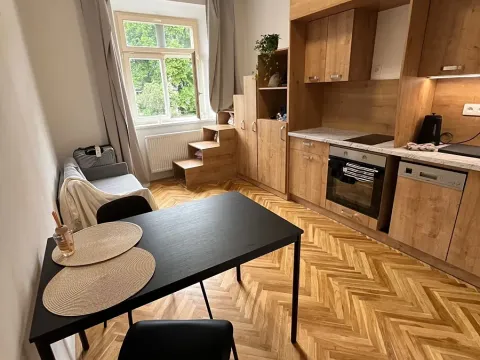 Pronájem bytu 1+kk, Praha - Nusle, Jaromírova, 18 m2