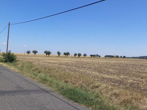 Prodej pozemku, Podbořany - Kněžice, 1801 m2