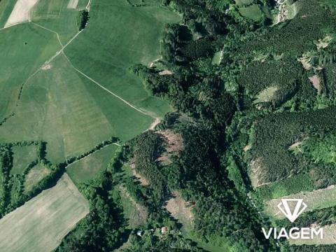 Prodej lesa, Lomnice, 10434 m2