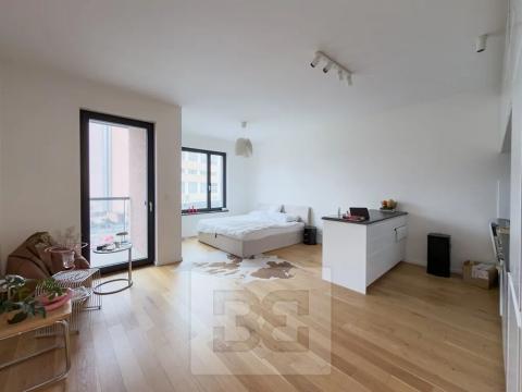 Pronájem bytu 1+kk, Praha - Holešovice, Jankovcova, 42 m2