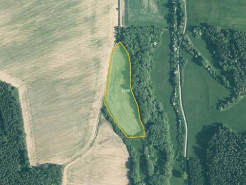 Prodej pole, Kuřimany, 7564 m2