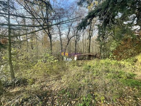 Prodej louky, Popovičky, 1643 m2