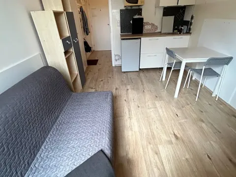 Pronájem bytu 1+kk, Praha - Krč, Budějovická, 20 m2