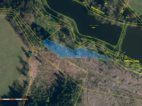 Prodej lesa, Staré Bříště, 1279 m2