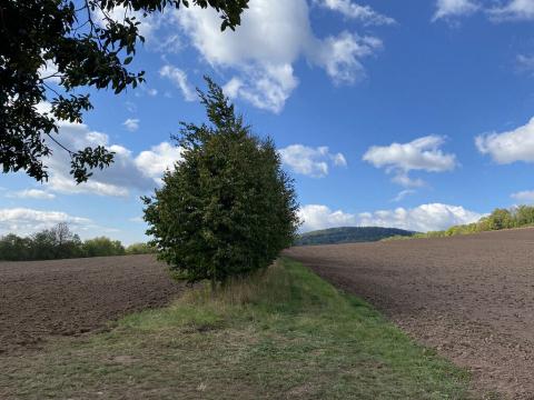 Prodej pozemku, Lánov - Horní Lánov, 4009 m2