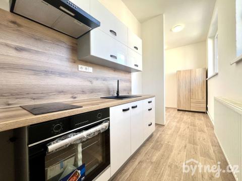 Pronájem bytu 1+1, Olomouc - Hodolany, Rejskova, 31 m2