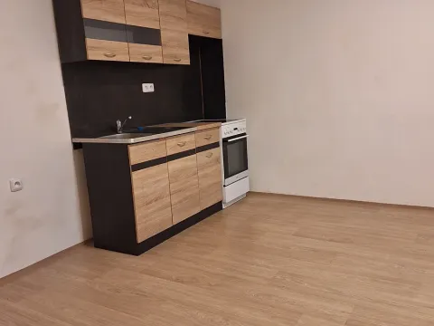 Pronájem bytu 1+kk, Chotěšov, Ořechová, 29 m2