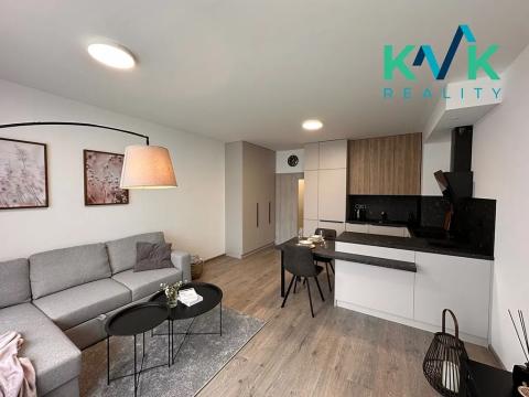 Pronájem bytu 1+kk, Ostrov, Myslbekova, 33 m2