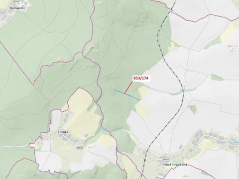 Dražba lesa, Nová Hradečná, 6275 m2