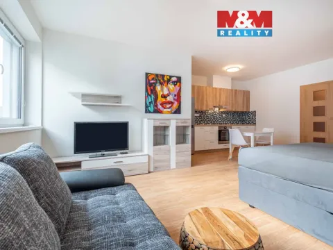 Pronájem bytu 1+kk, Plzeň - Doubravka, Dílenská, 45 m2